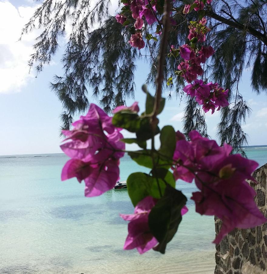 Ti Coco Apartment Pereybere Beach Exterior photo